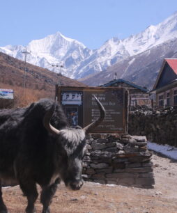 Langtang Valley Trekking