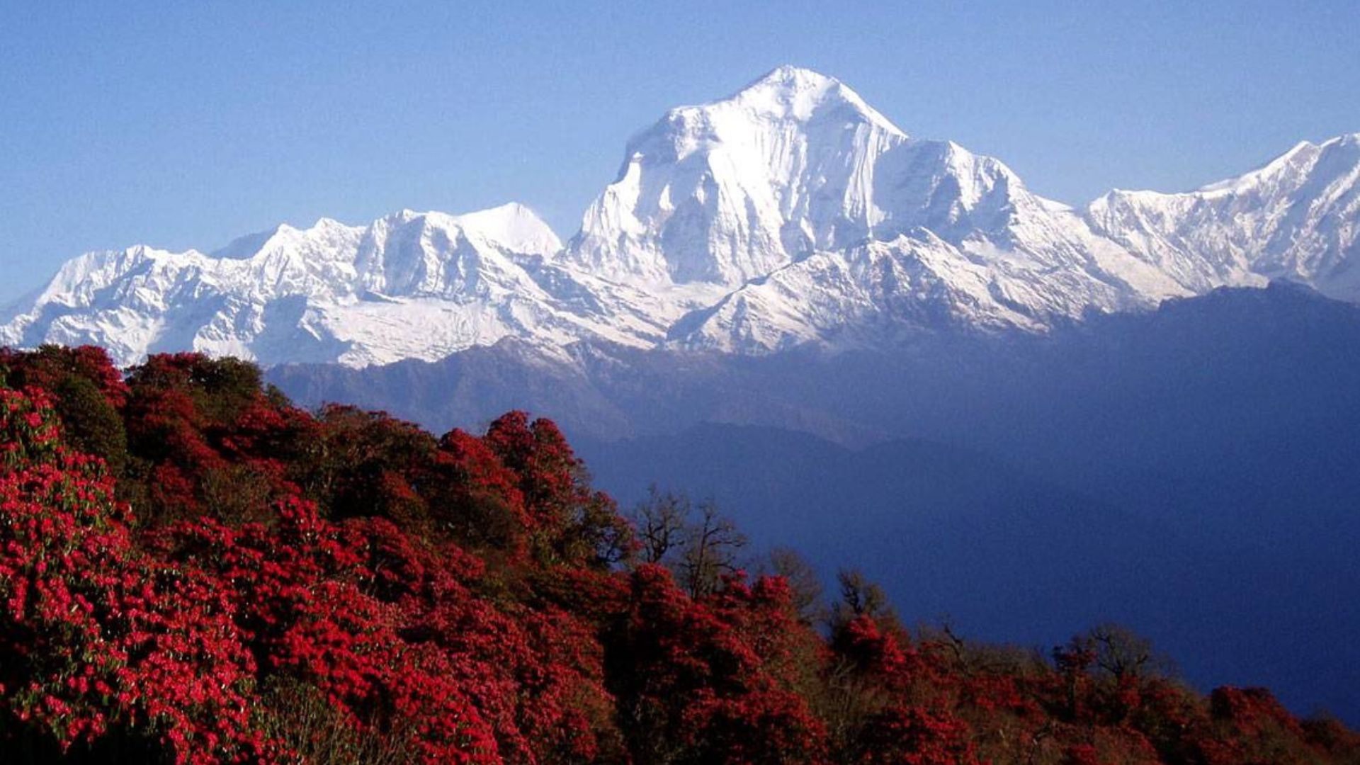 Trekking in Spring Season in Nepal - Loong Adventures